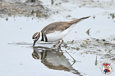 Place holder for April Picture