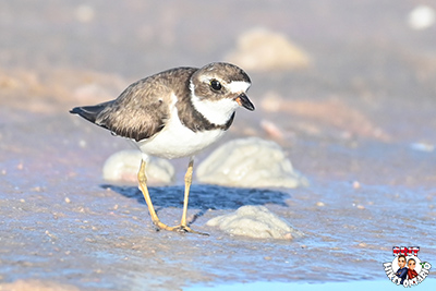 Place holder for August Picture