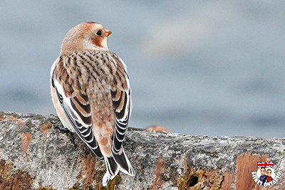 Place holder for Feb Picture