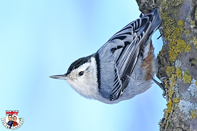 Place holder for October Picture